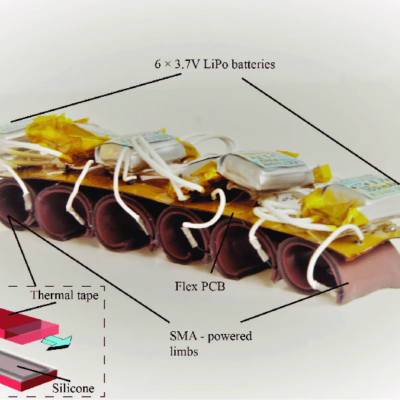 2019 – Highly Dynamic Shape Memory Alloy Actuator for Fast Moving Soft Robots