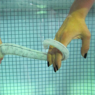 2012 – Soft robot arm inspired by the octopus