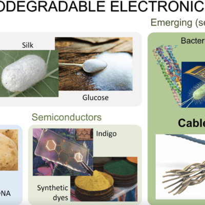 Biomaterials and Electroactive Bacteria for Biodegradable Electronics