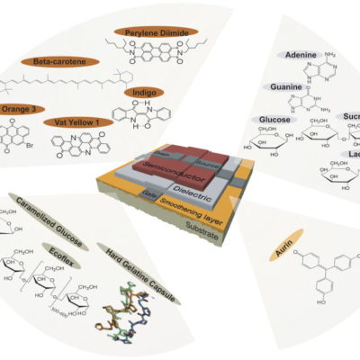 Biomaterials-Based Electronics: Polymers and Interfaces for Biology and Medicine